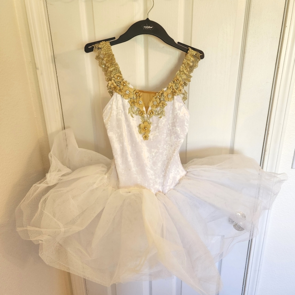 Revolution Ballet Costume "A Secret Revealed"- Size Small Adult